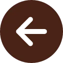 Previous Icon