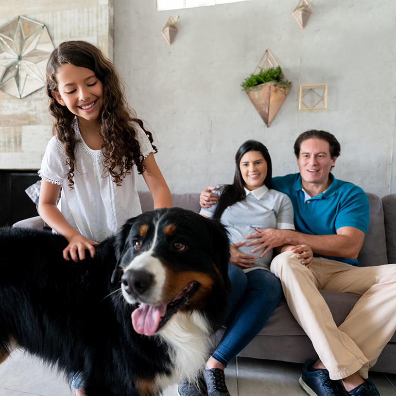 familia-perro