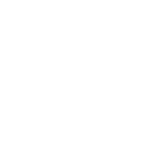 Previous Icon