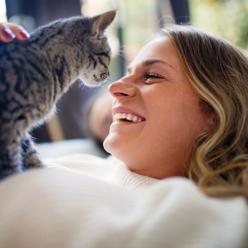 Eine Frau liegt auf dem Rücken und streichelt ihre Katze.
