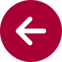 Previous Icon