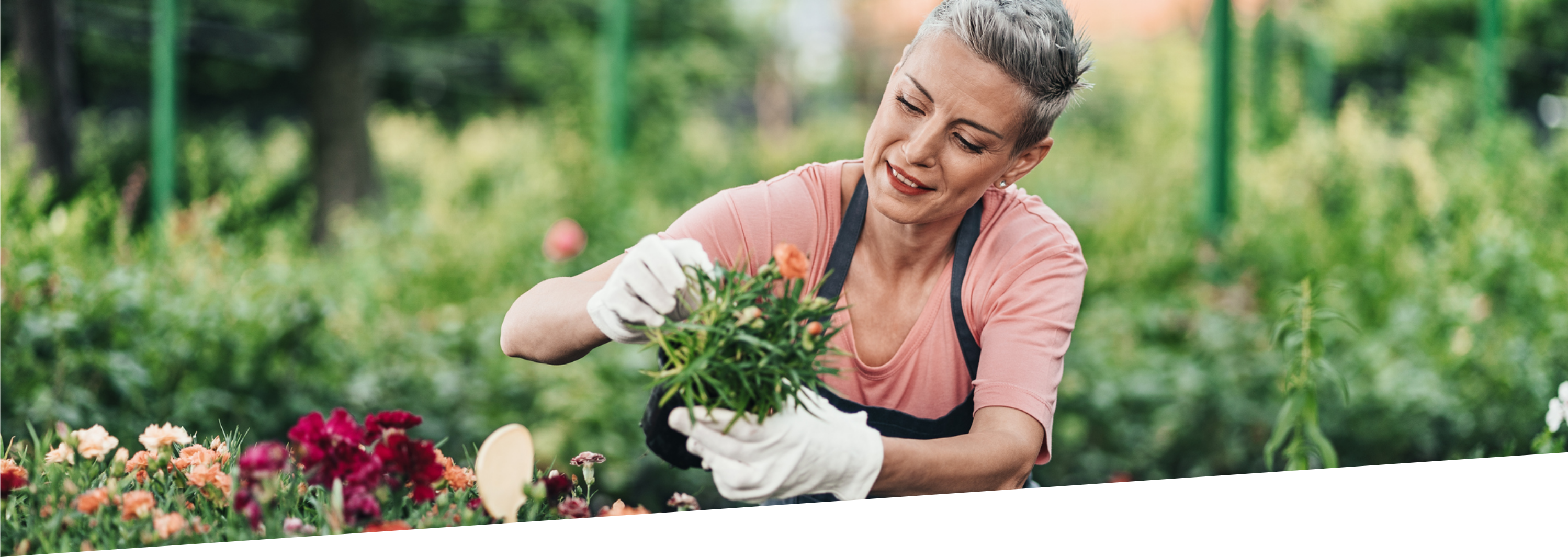 middle-aged woman works in her garden, holding a bunch of flowers
